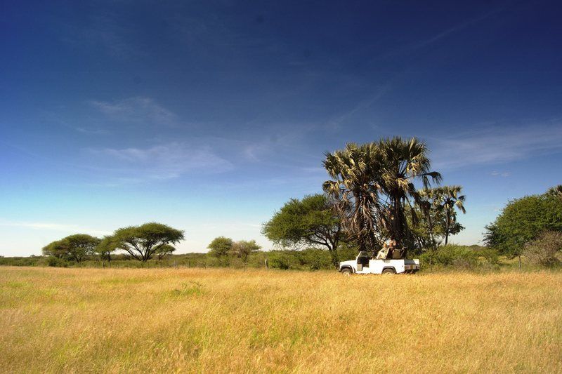 Dornhuegel Guestfarm Hotel Grootfontein Bagian luar foto