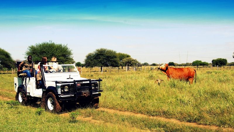 Dornhuegel Guestfarm Hotel Grootfontein Bagian luar foto