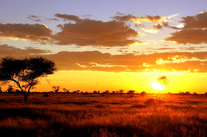 Dornhuegel Guestfarm Hotel Grootfontein Bagian luar foto